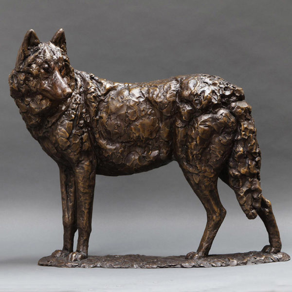 outdoors ; indoor ; bronze statue ; decorate ; Large scale ; City decoration ; garden ; Park decoration ; Wolf ; Wolf sculpture ; Wolf statue ; Life Size ; Well designed size bronze life size wolf sculpture