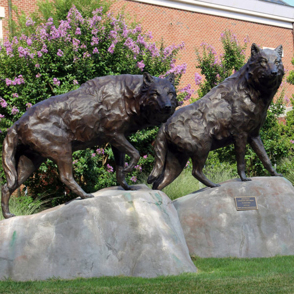 outdoors ; indoor ; bronze statue ; decorate ; Large scale ; City decoration ; garden ; Park decoration ; Wolf ; Wolf sculpture ; Wolf statue ; Life Size ; Metal large outdoor decoration bronze wolf statues sculpture