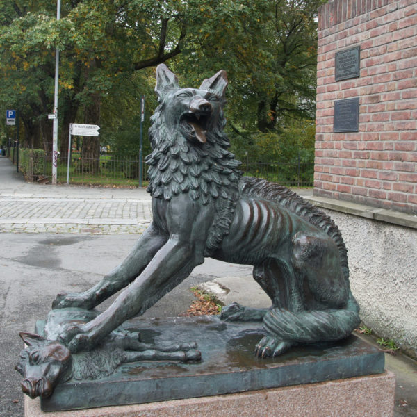 outdoors ; indoor ; bronze statue ; decorate ; Large scale ; City decoration ; garden ; Park decoration ; Wolf ; Wolf sculpture ; Wolf statue ; Life Size ; bronze metal casting howling murderous wolf statue sculpture for sale